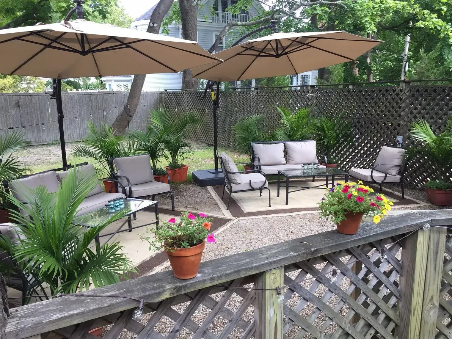 Wooden deck with purple flowers, greenery, and a tree-lined background on a sunny day.