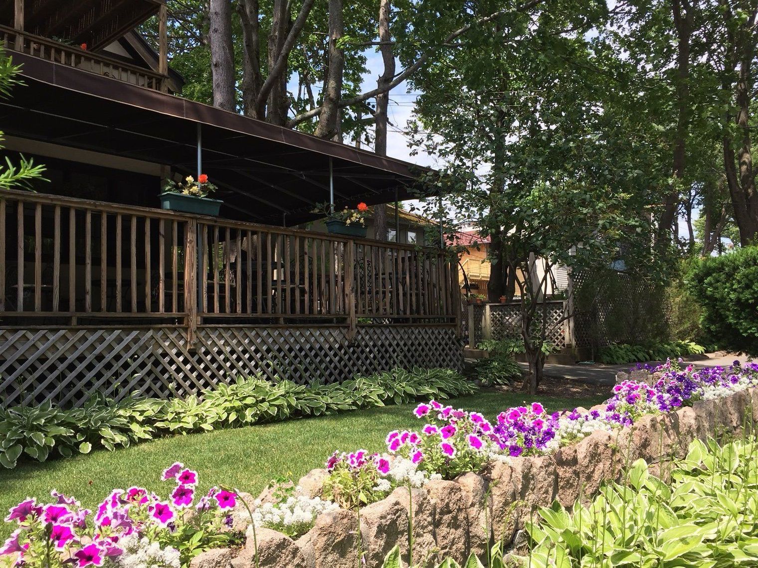 Tudor-style house with colorful mums in front garden, climbing ivy, and lush trees.